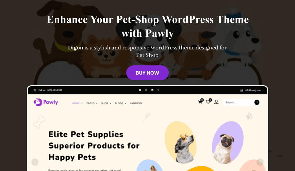 Pawly: The WooCommerce Theme Every Pet Store Needs